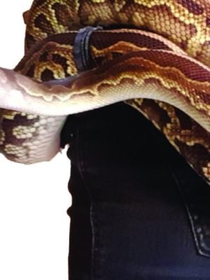 meghan-fluffy03 meghan-fluffy03