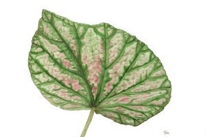 09 Kim Yeoh - Done 004 09 Kim Yeoh - Done 004