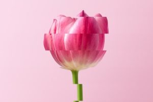 Luanna D'elias Tomas 03 Luanna D'elias Tomas 03