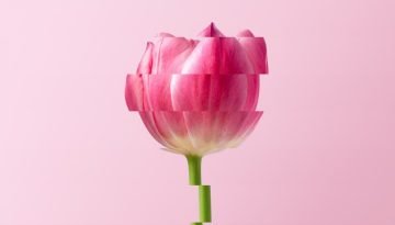 Luanna D'elias Tomas 03