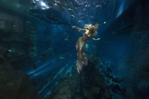 Mermaid 005 Mermaid 005