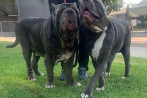 a-day-in-the-life3 a-day-in-the-life3