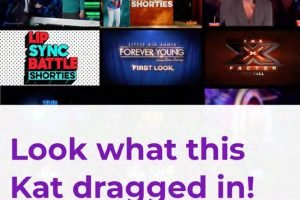 a-day-in-the-life4 a-day-in-the-life4